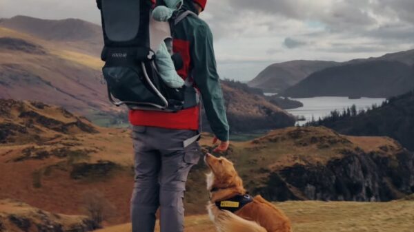 Lake District Toddler Hiking Guide: Tips, Gear & Real-Life Stories