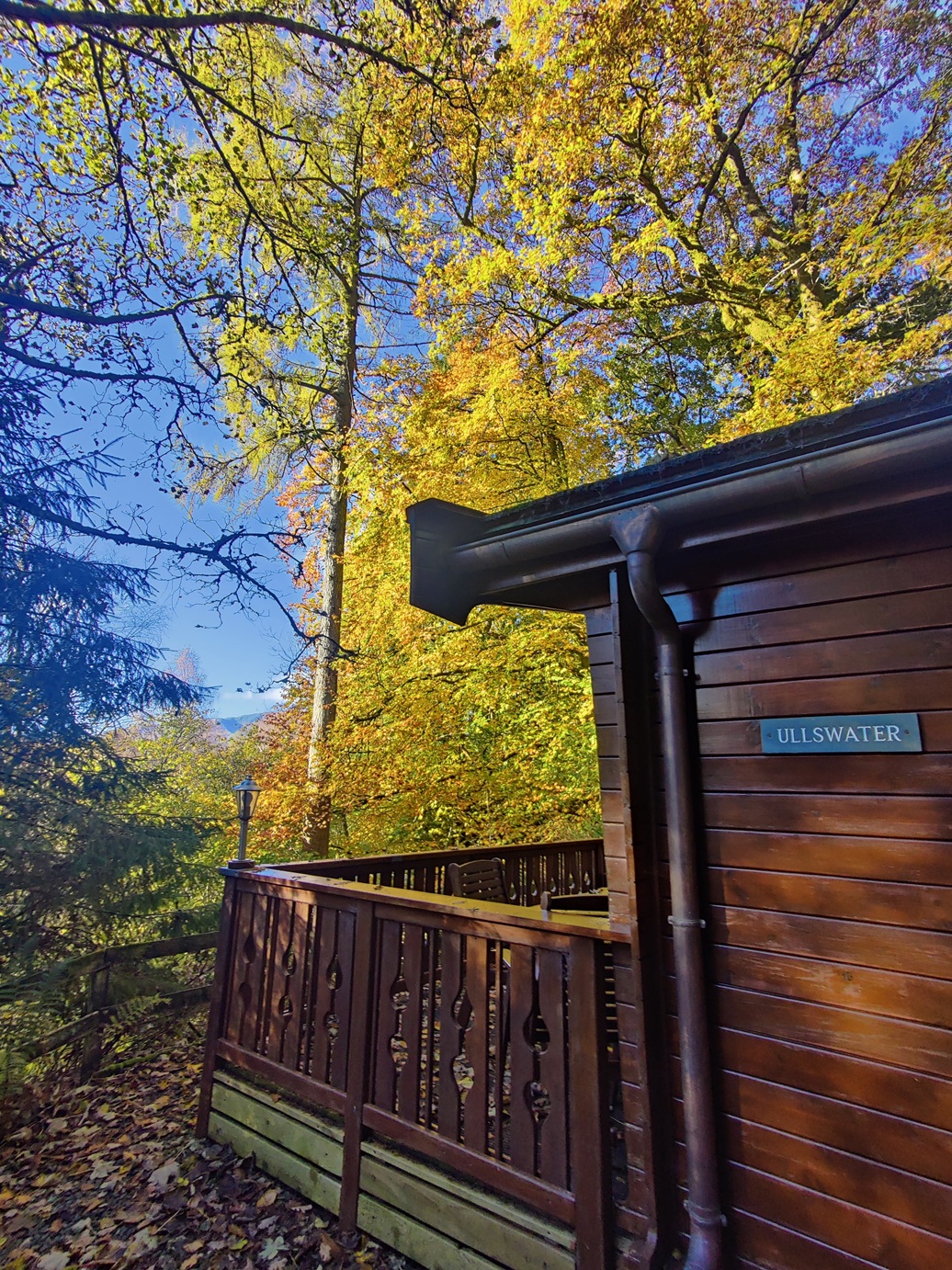 Our Annual Lake District Tradition: Stop Scrolling and Start Strolling