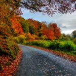 Amber Ales and Autumn Tales - A Love Letter to Autumn and Bonfire Night