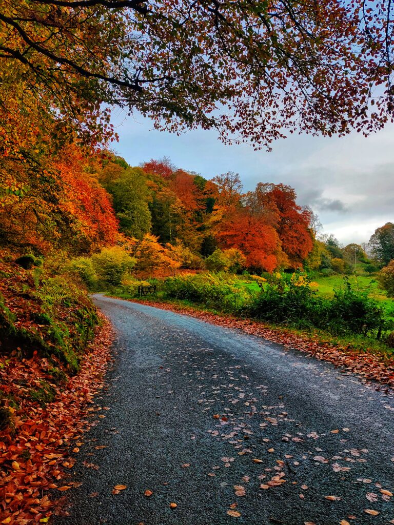Amber Ales and Autumn Tales - A Love Letter to Autumn and Bonfire Night