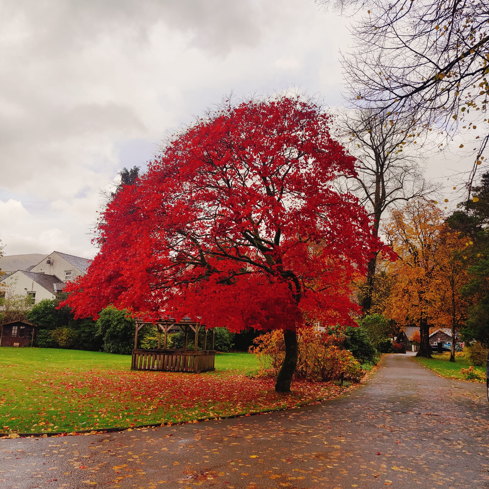 Amber Ales and Autumn Tales - A Love Letter to Autumn and Bonfire Night