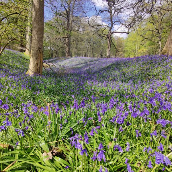 The Earth Turns and The Light Returns.