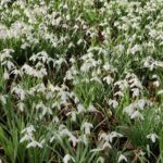 The Earth Turns and The Light Returns.