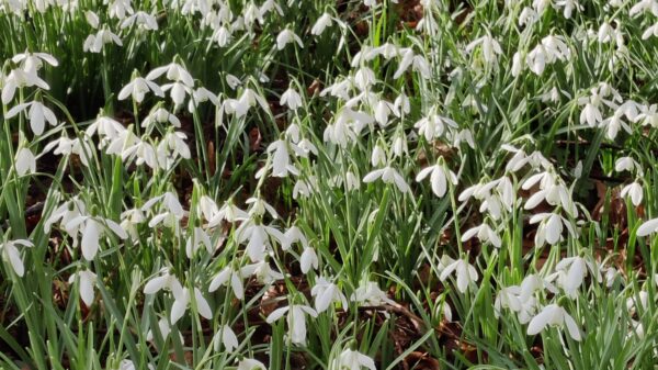 The Earth Turns and The Light Returns.