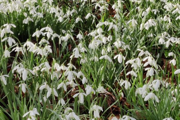 The Earth Turns and The Light Returns.