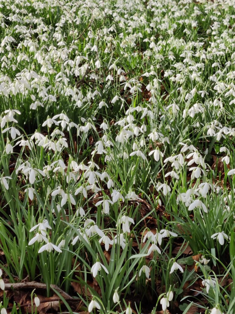 The Earth Turns and The Light Returns.