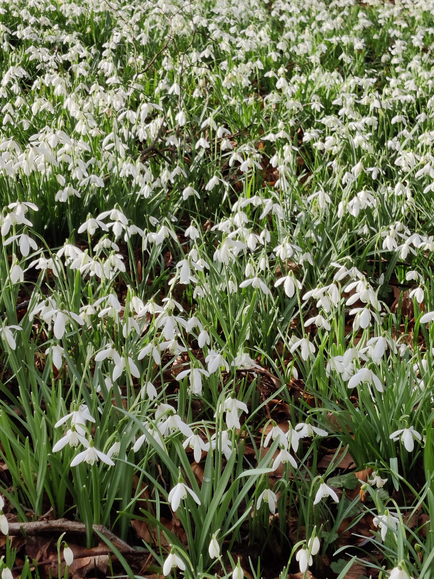 The Earth Turns and The Light Returns.