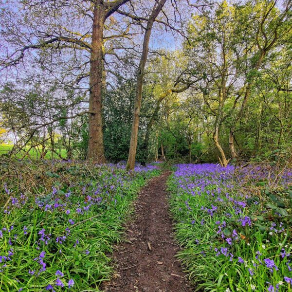 Turn Off the News: 5 Reasons Life in the UK Is Actually Pretty Good