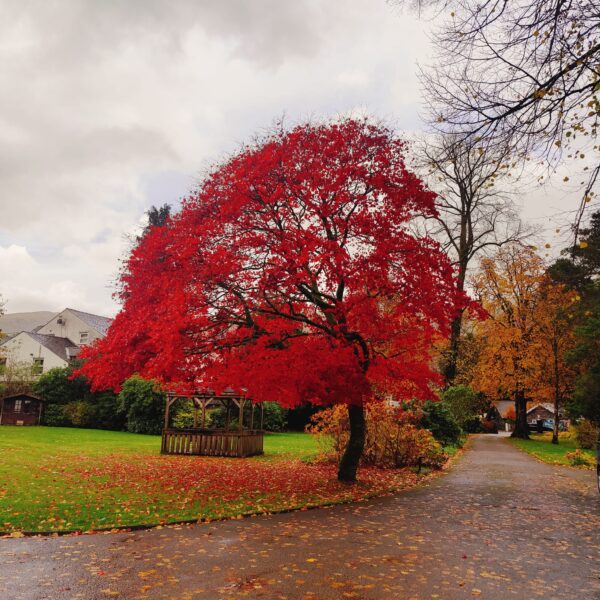 Turn Off the News: 5 Reasons Life in the UK Is Actually Pretty Good